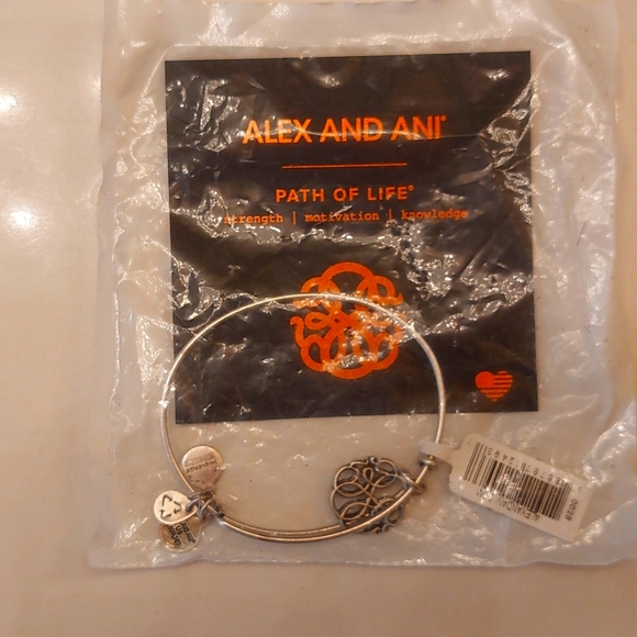 ALEX and ANI Path of Life Silver Bracelet - Picture 1 of 3